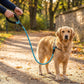 Pet Dog Leash Adjustable Nylon Rope with Comfortable Handle and Metal Clip for Small Medium Dogs