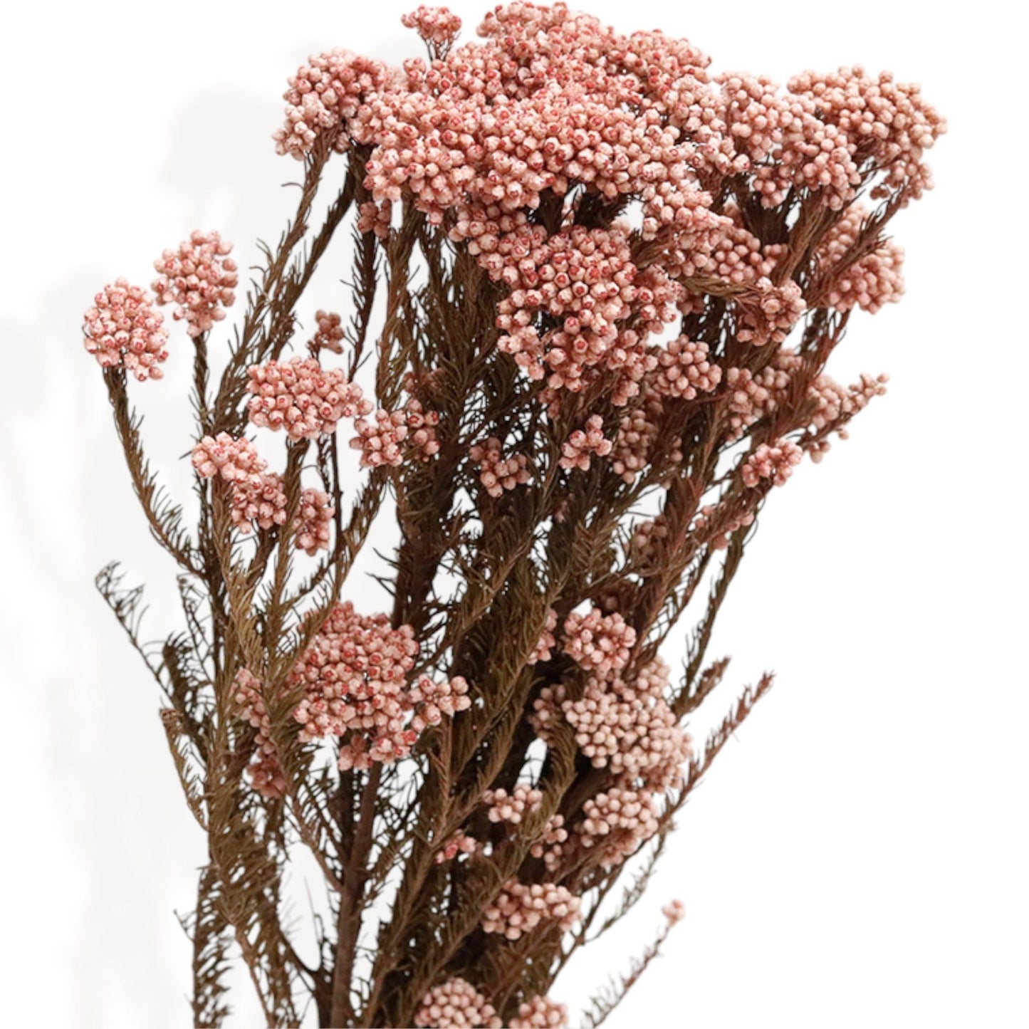 Vibrant Wildflower-Inspired Dried Flowers Floral Arrangement, 17.8 Inches