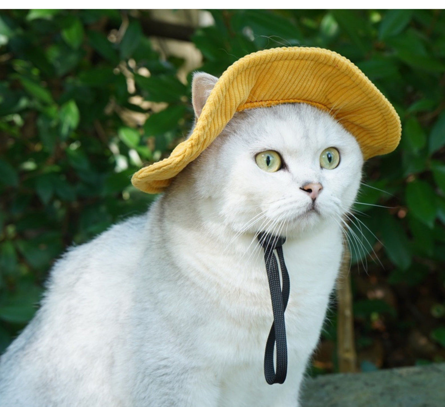 Pet Corduroy Sun Hat with Wide Brim Adjustable Chin Strap Soft Lightweight Outdoor Hat for Cats and Dogs
