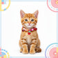 Adjustable Pet Collar with Bell Paw Charm Beaded Necklace Colorful Decorative Collar for Cats and Small Dogs