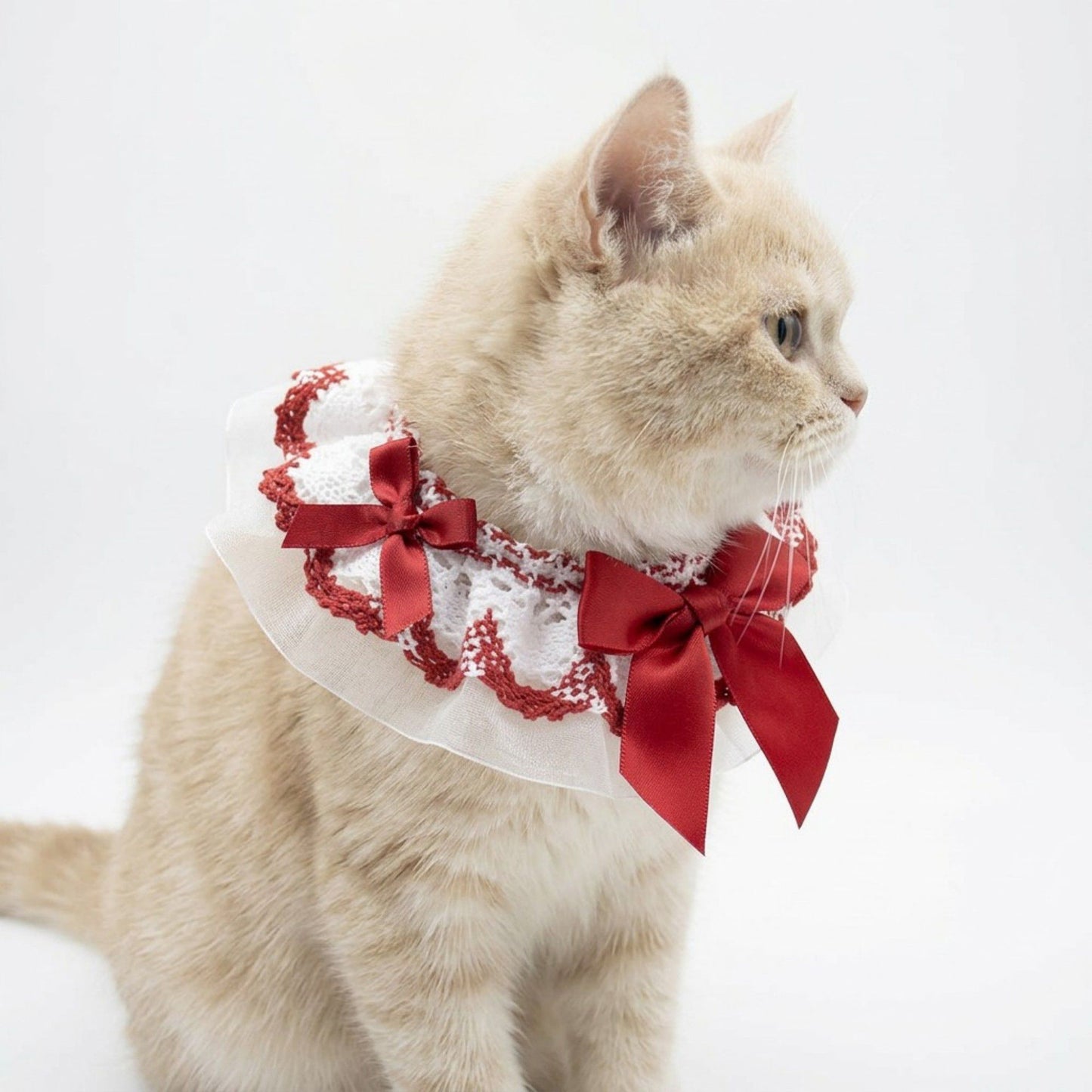 Pet Lace Collar with Bow Accent Decorative Neck Accessory for Dogs and Cats