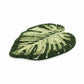 Tufted Floor Mat with Tropical Leaf Pattern Non Slip Backing Soft Plush Decorative Indoor Entryway Bathroom Rug