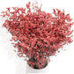 Autumn-Inspired Dried Flowers Floral Arrangement with Warm Hues, 17.8 Inches