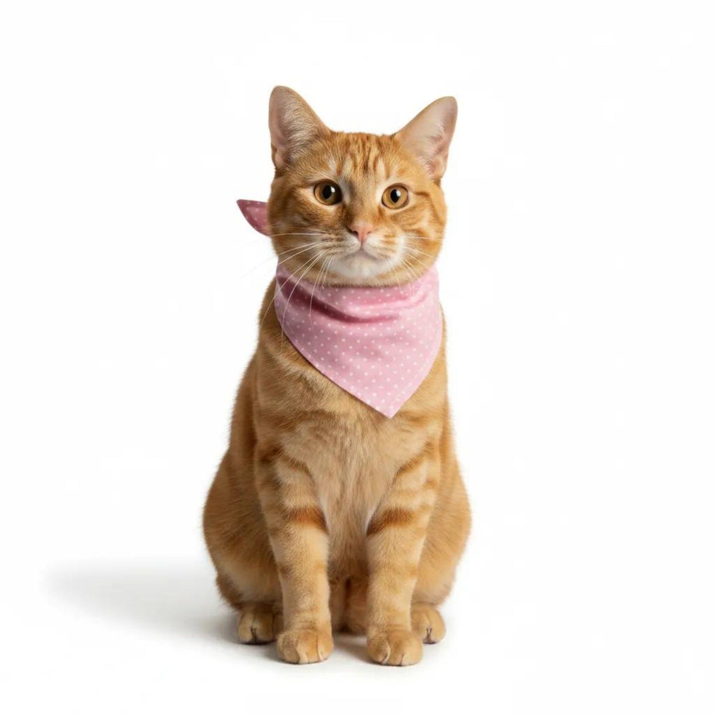 Polka Dot Pet Bandana, Soft Cotton Dotted Scarf Bib for Small Medium Dogs Cats