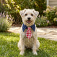 Plaid Pet Necktie Collar, Soft Cotton Gentleman Style Gingham Tie for Small Medium Dogs Cats
