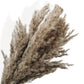 Elegant Dried Flowers Pampas and Eucalyptus Arrangement, 17.8 Inches