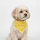 Dog Bandana Scarf Yellow with Black and White Pattern Pet Neck Accessory