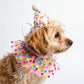 Pet Birthday Hat and Polka Dot Tulle Collar Set Colorful Party Costume Accessory