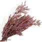 Dried Flowers Rosemary Branch Arrangement for Home Decor, 29.5 Inches