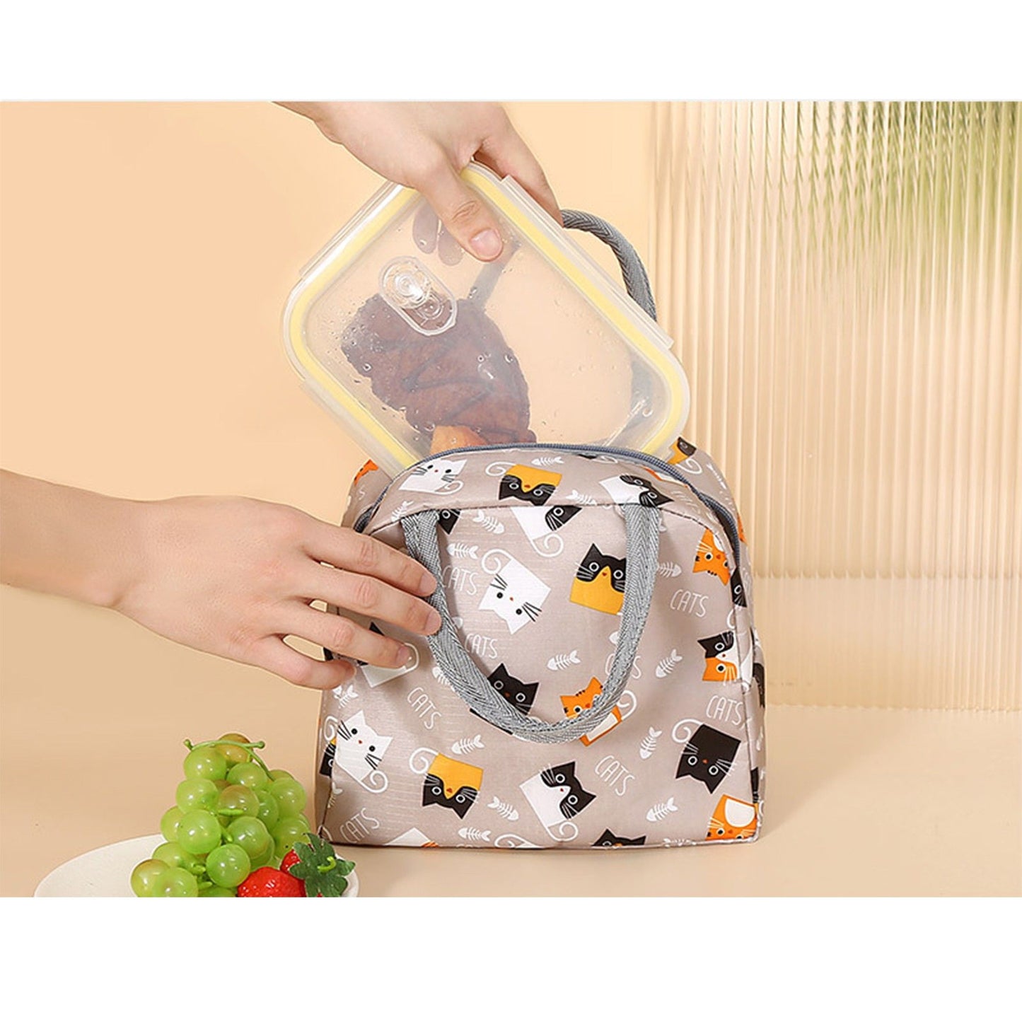 Print Insulated Lunch Bag Portable Reusable Lunch Tote with Handles