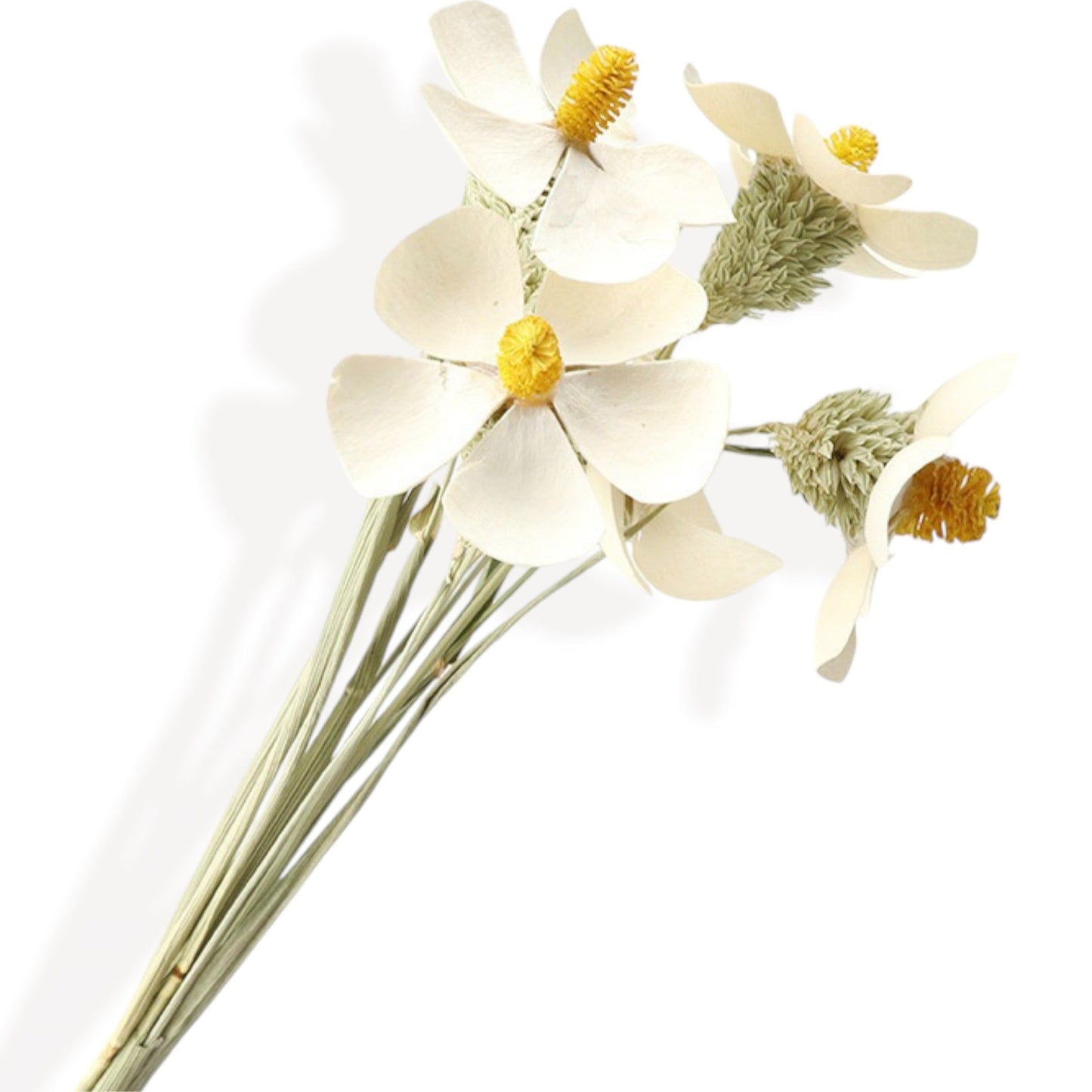 Elegant Dried Palm Leaf and Pampas Grass Floral Arrangement