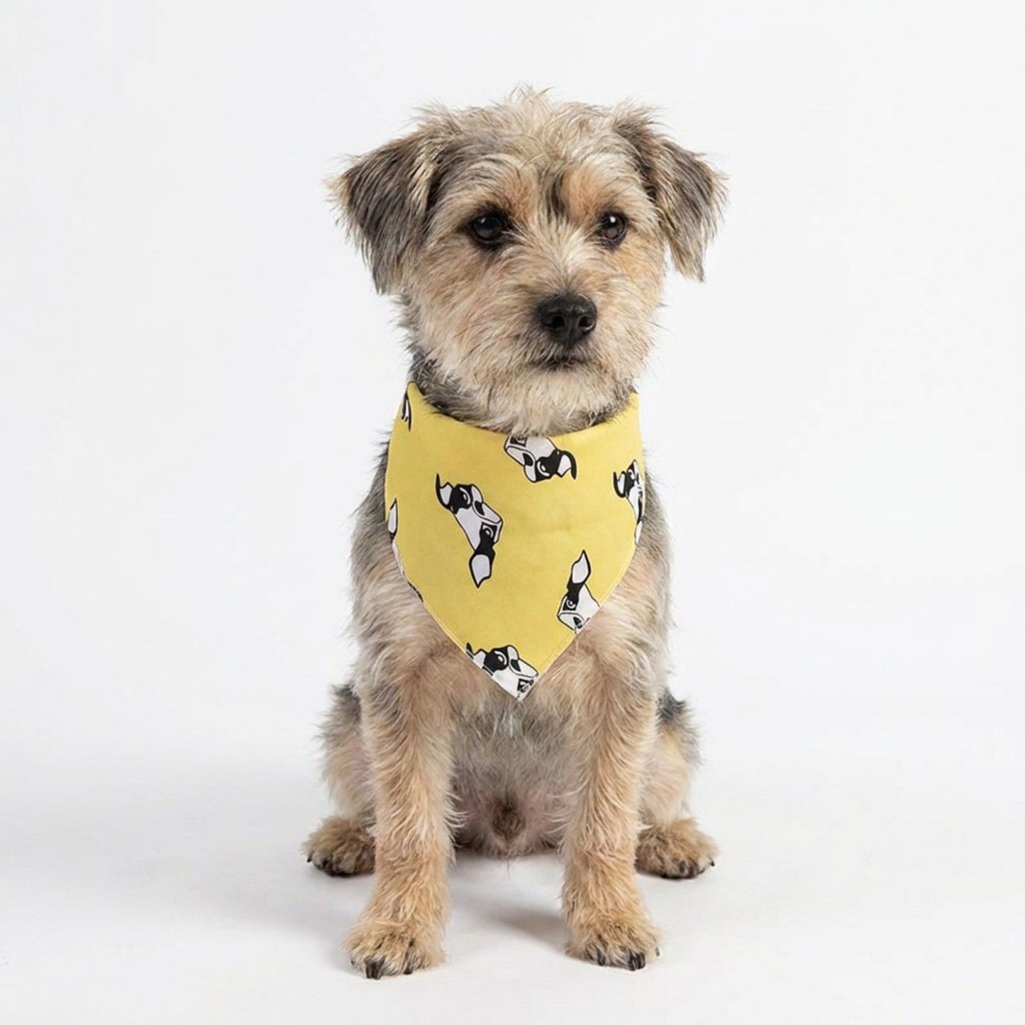 Dog Bandana Scarf Yellow with Black and White Pattern Pet Neck Accessory