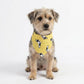 Dog Bandana Scarf Yellow with Black and White Pattern Pet Neck Accessory