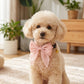 Pet Bow Collar Soft Adjustable Satin Bow Tie with Bell Detail Elegant Neck Accessory