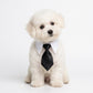 Pet Holiday Crochet Collar and Bowtie Set for Cats and Dogs Adjustable and Festive