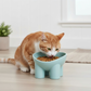 Elevated Tilted Cat Food Bowl with Raised Base for Comfortable Feeding