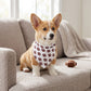 Pet Bandana Scarf Duck Pattern Decorative Neck Accessory for Dogs and Cats