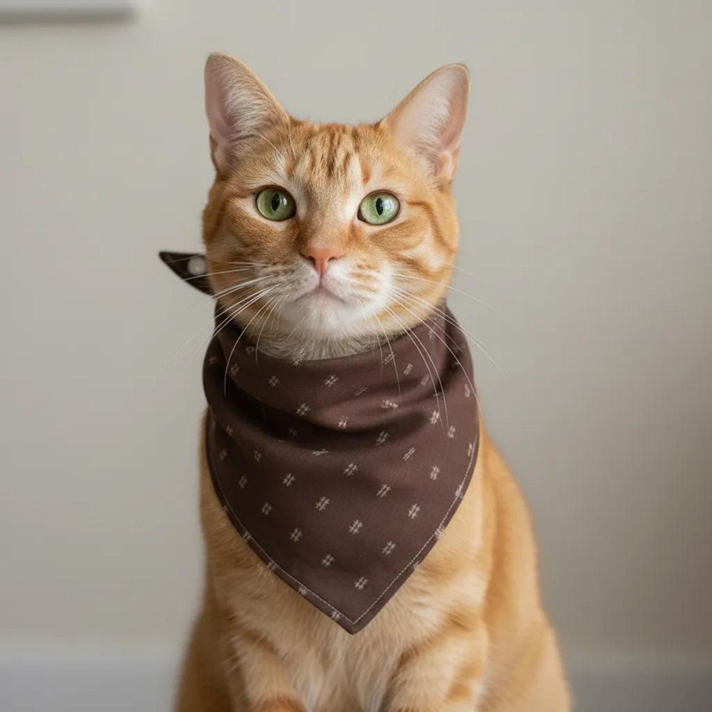 Pet Bandana Collar Soft Adjustable Classic Print Scarf with Tie Closure Everyday Neckwear