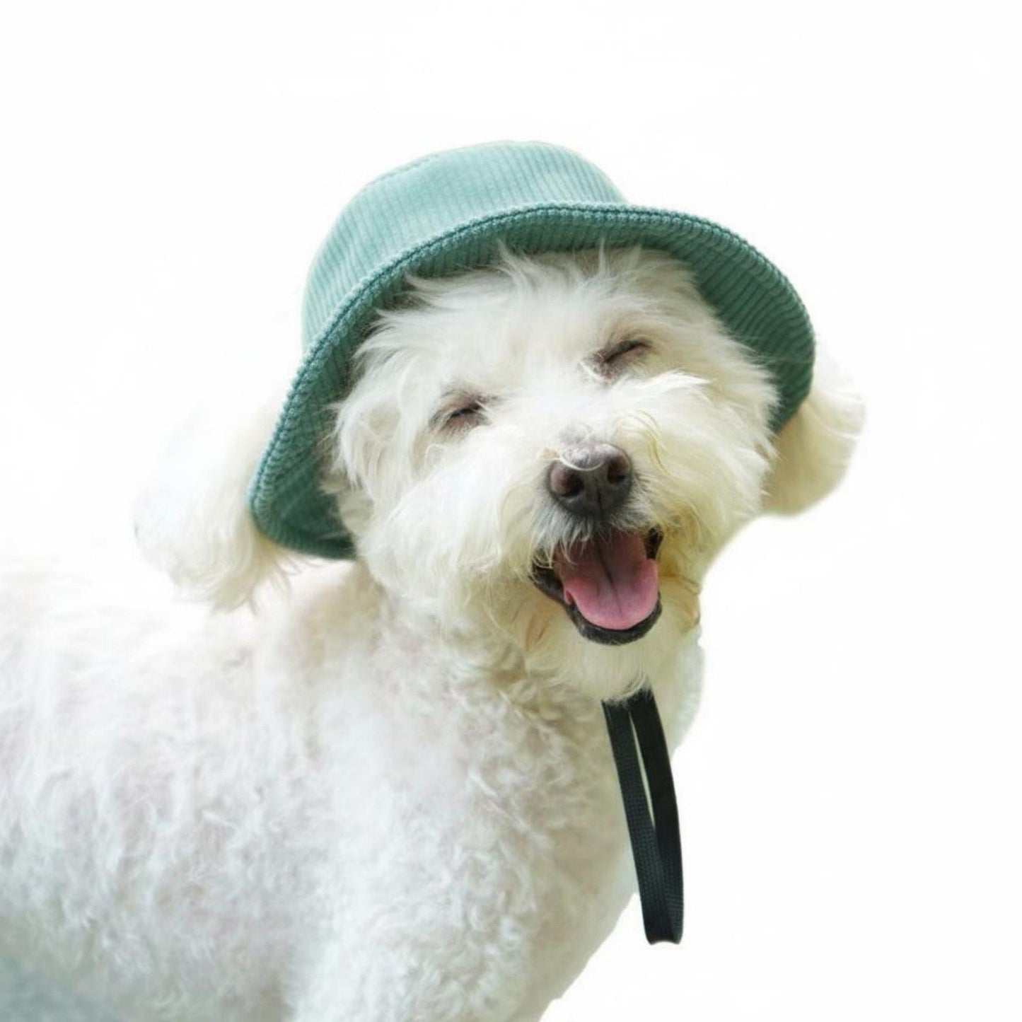 Pet Corduroy Sun Hat with Wide Brim Adjustable Chin Strap Soft Lightweight Outdoor Hat for Cats and Dogs
