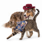 Pet Bandana Scarf Floral Pattern with Hat Accessory for Dogs and Cats
