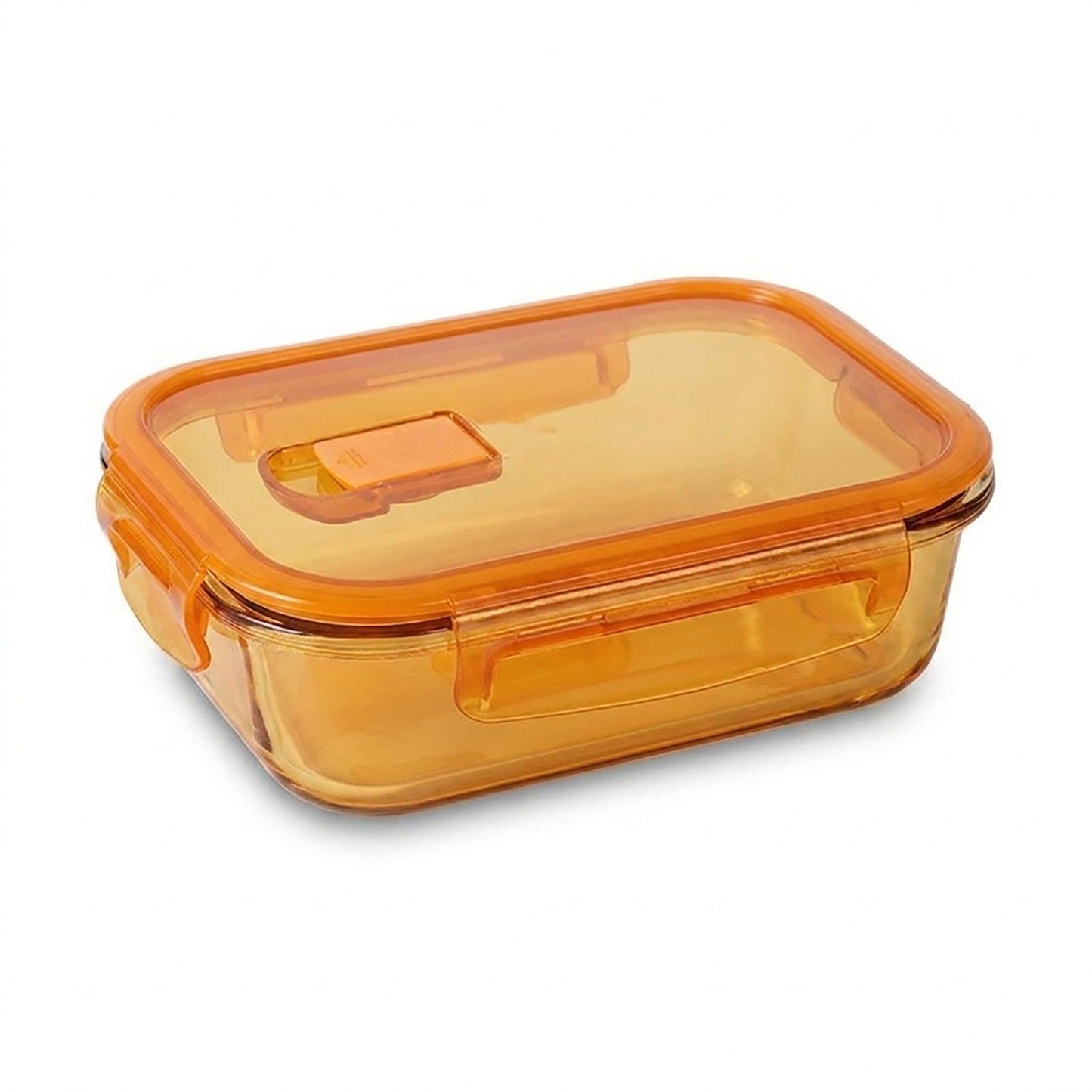 Divided Food Storage Container with Snap Lid and Sauce Compartment
