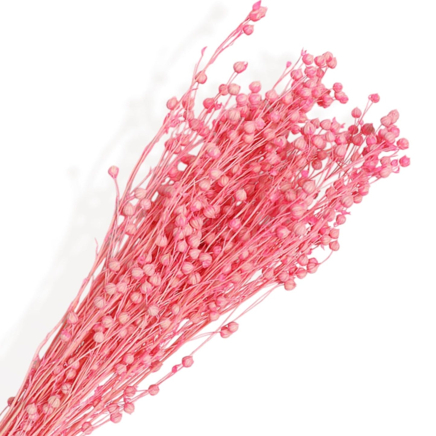 Vibrant Dried Flowers Mixed Floral Arrangement with Pink and Red Accents, 17.8 Inches