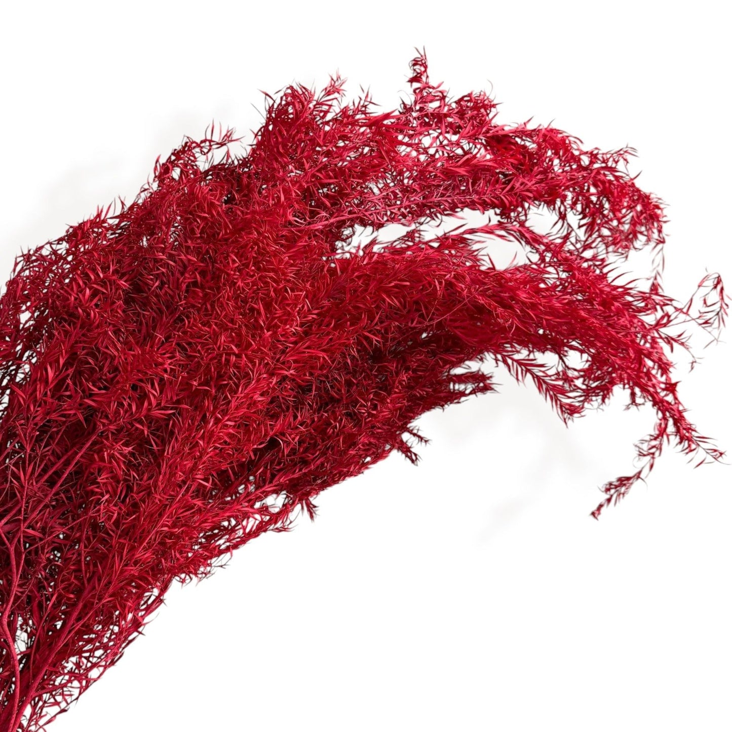 Dried Flowers Rosemary Branch Arrangement for Home Decor, 29.5 Inches