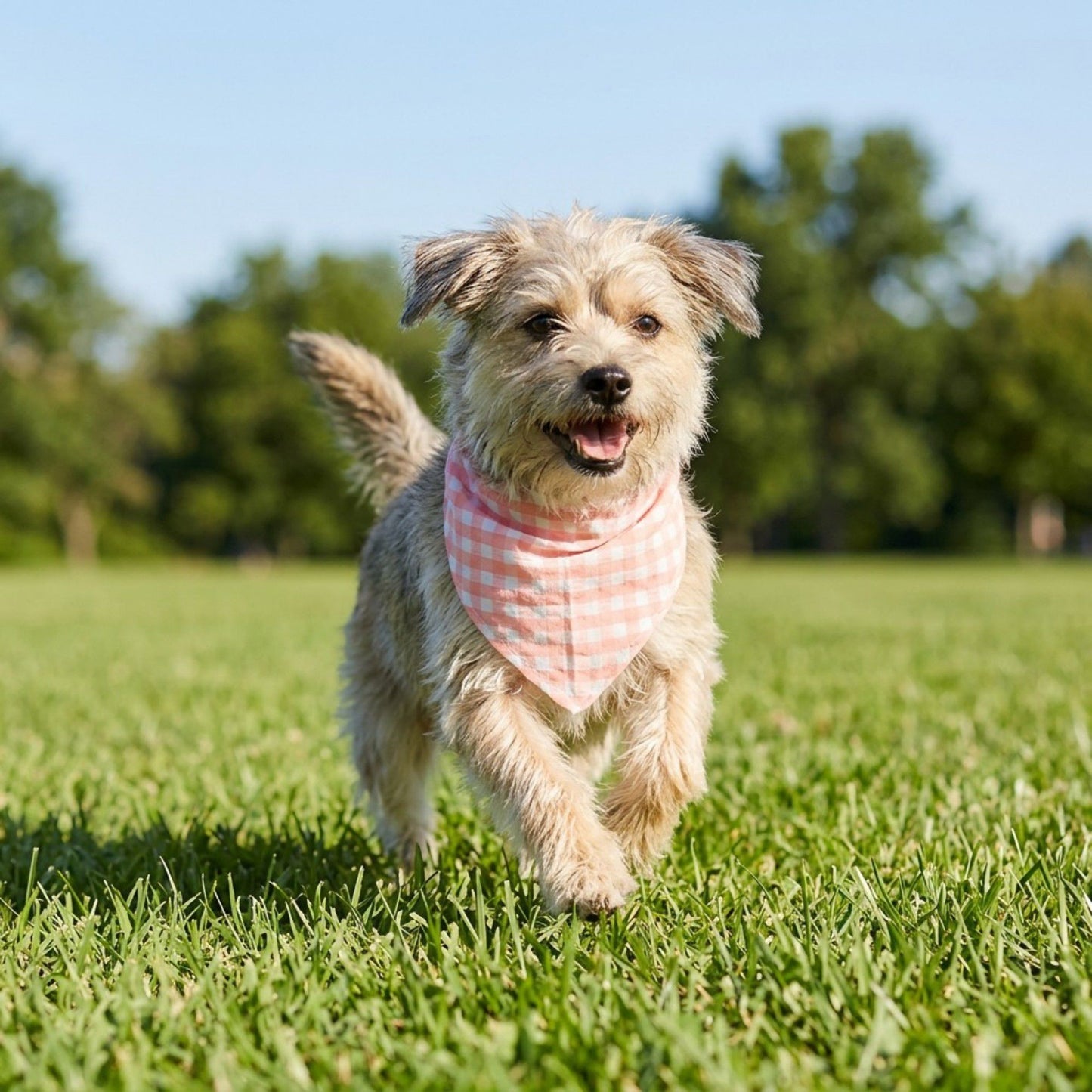 Large Pet Bandana Scarf Pink Gingham Triangle Bib for Dogs and Cats Neckerchief