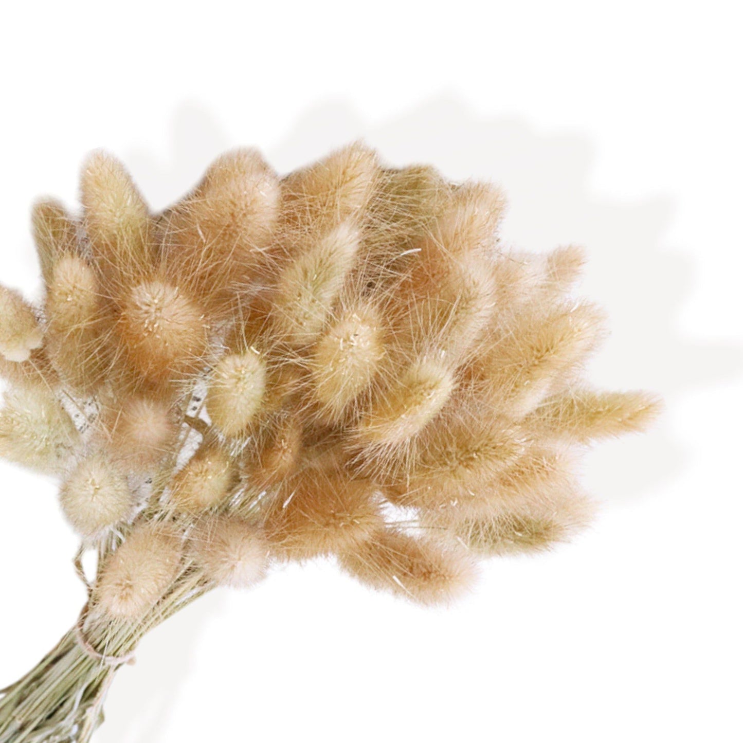 Elegant Dried Flowers Pampas and Eucalyptus Arrangement, 17.8 Inches