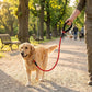 Pet Dog Leash Adjustable Nylon Rope with Comfortable Handle and Metal Clip for Small Medium Dogs