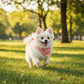 Large Pet Bandana Scarf Pink Gingham Triangle Bib for Dogs and Cats Neckerchief