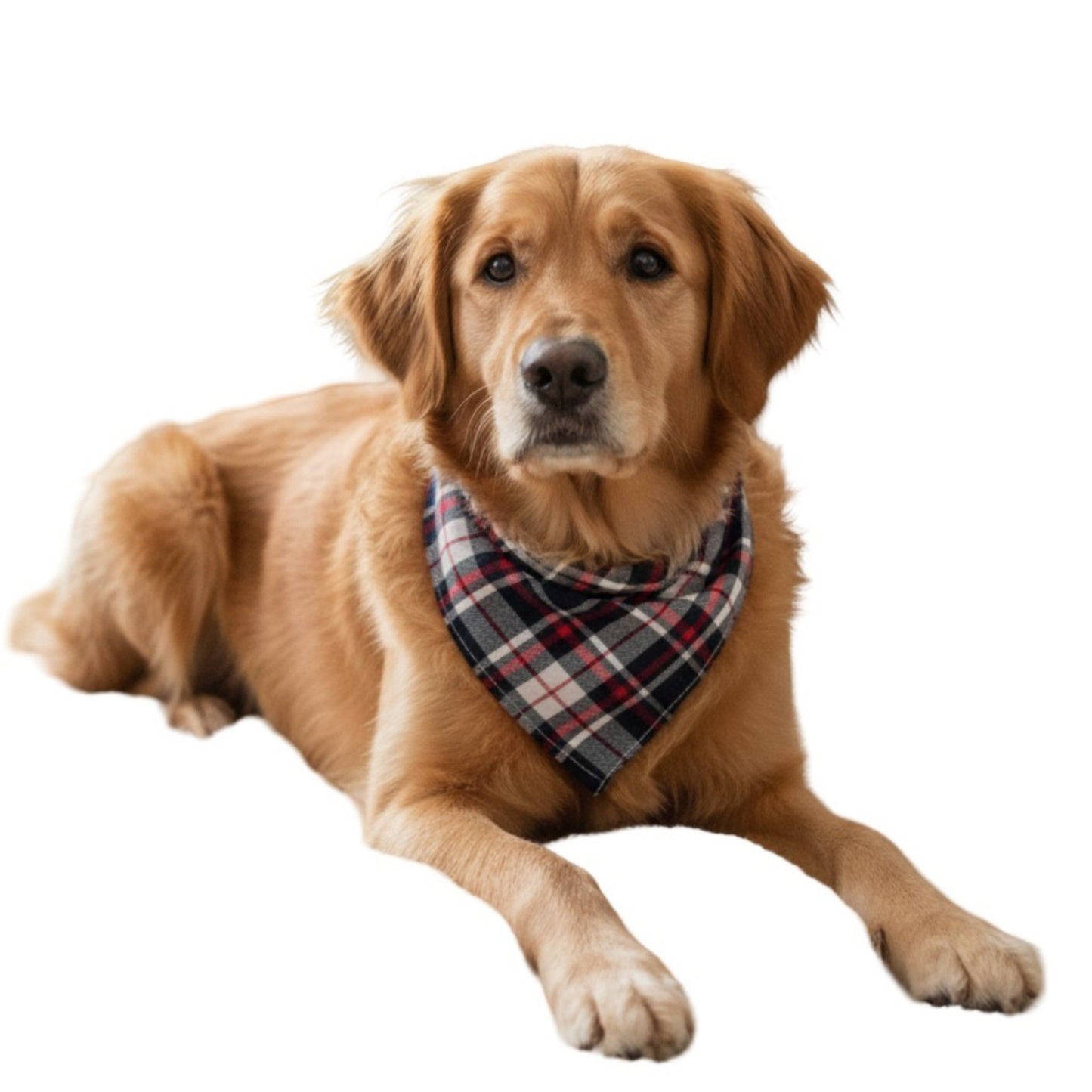 Plaid Pet Bandana Scarf Soft Tie-On Triangle Neck Accessory Classic Check Pattern