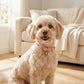 Adjustable Dog & Cat Collar with Paw Print Decoration and Bell Soft PU Leather