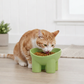 Elevated Tilted Cat Food Bowl with Raised Base for Comfortable Feeding