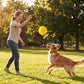 EVA Dog Toy Interactive Fetch Disc and Chew Ball Durable Play Toy for Dogs