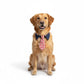 Plaid Pet Necktie Collar, Soft Cotton Gentleman Style Gingham Tie for Small Medium Dogs Cats