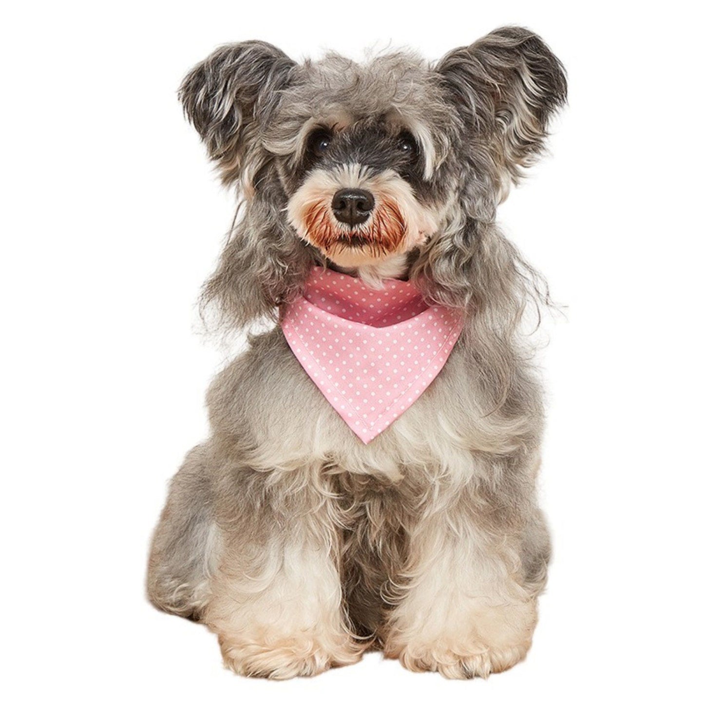 Polka Dot Pet Bandana, Soft Cotton Dotted Scarf Bib for Small Medium Dogs Cats