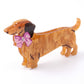 3pc Dachshund Dog Hair Claw Clip Set Striped Rhinestone Puppy Hair Accessories