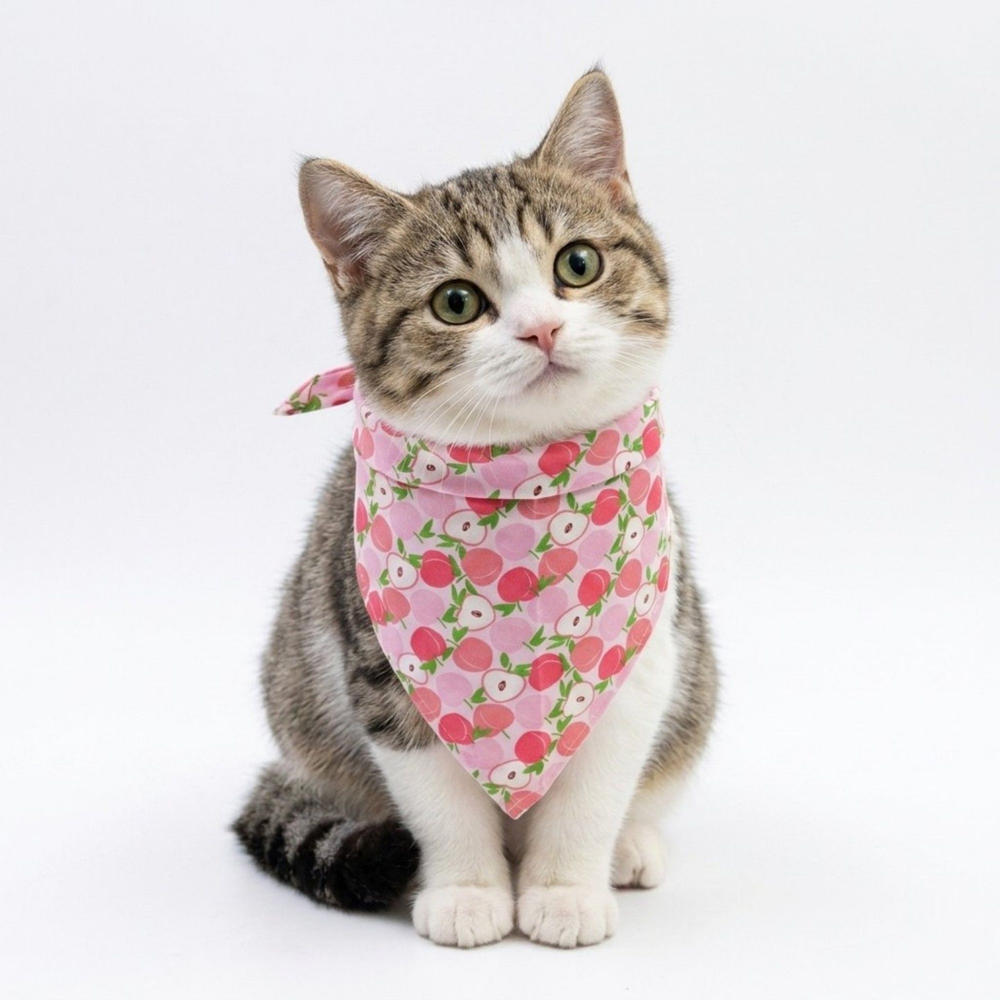 Fruit Print Pet Bandana, Soft Cotton Citrus Pattern Scarf Bib for Small Medium Dogs Cats