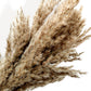Pampas Grass Dried Floral Arrangement Strawflower Wheat