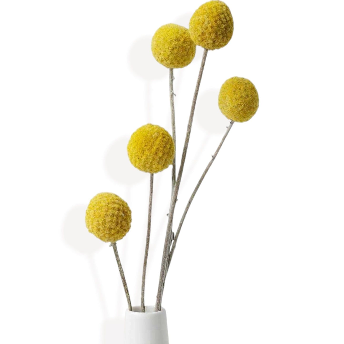 Neutral Dried Pampas Grass and Billy Balls Floral Arrangement