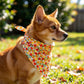 Fruit Print Pet Bandana, Soft Cotton Citrus Pattern Scarf Bib for Small Medium Dogs Cats