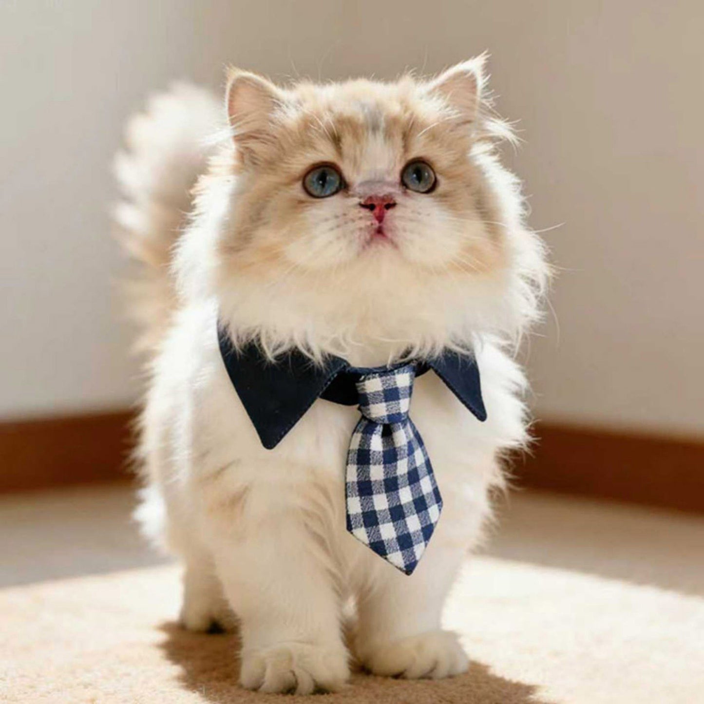 Plaid Pet Necktie Collar, Soft Cotton Gentleman Style Gingham Tie for Small Medium Dogs Cats