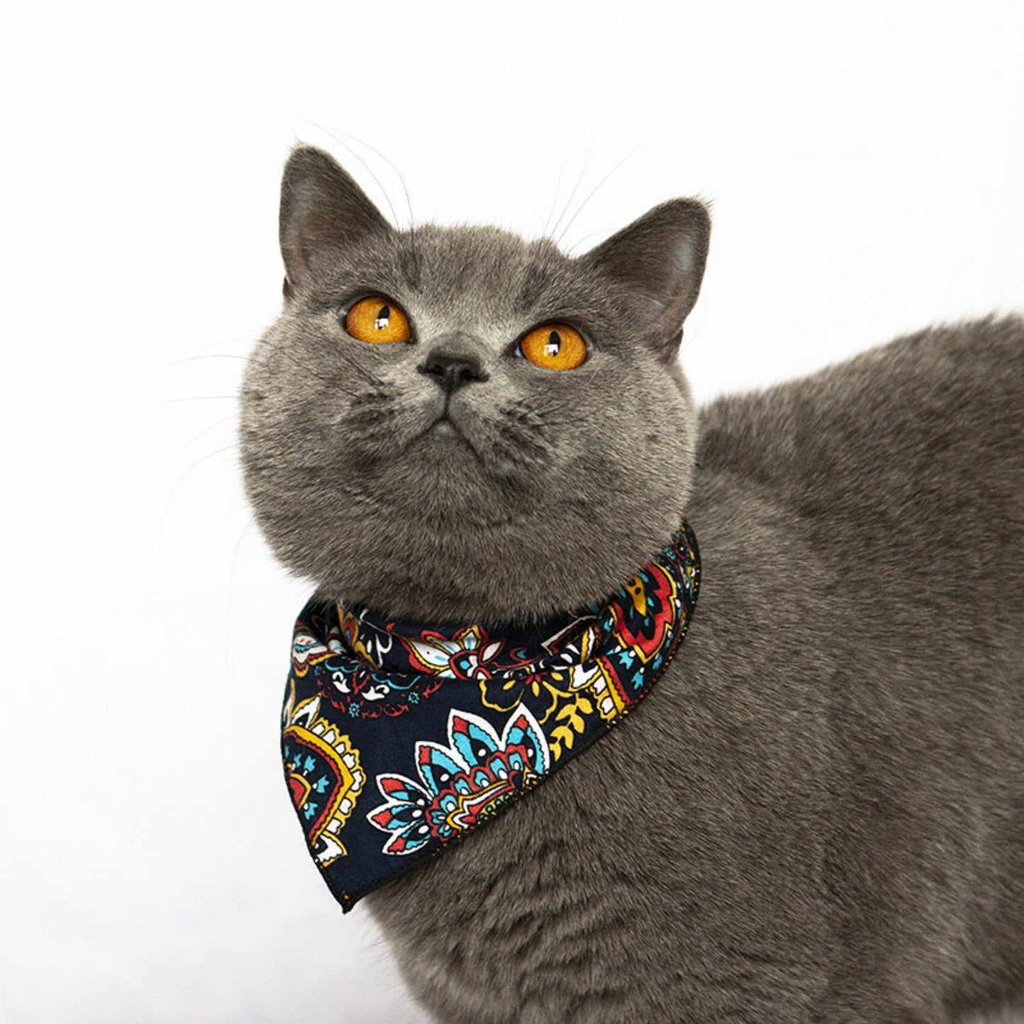 Paisley Floral Pet Bandana Scarf Bohemian Neckerchief for Cats and Dogs Bib