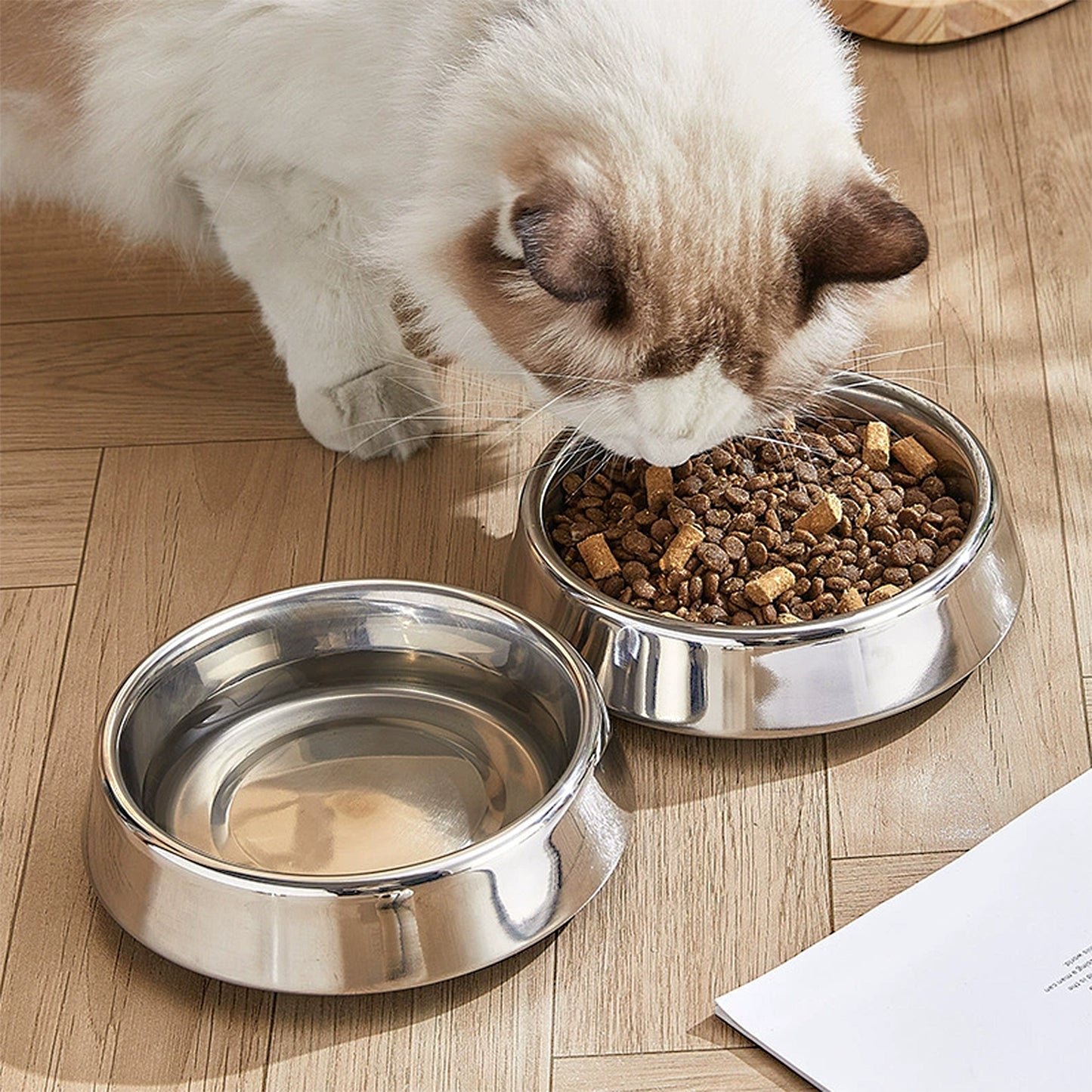 Stainless Steel Non-Slip Pet Bowls Set of 2 Food and Water Bowls for Cats and Small Dogs