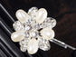 Beautiful Beige Flower Silver Hair Clip