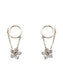 Small Crystal Flower Dangle Earrings