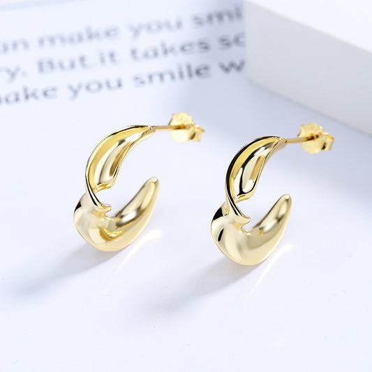 Twist Loop 925 Sterling Silver Earrings