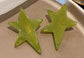 Irregular Star Hair Clip Set