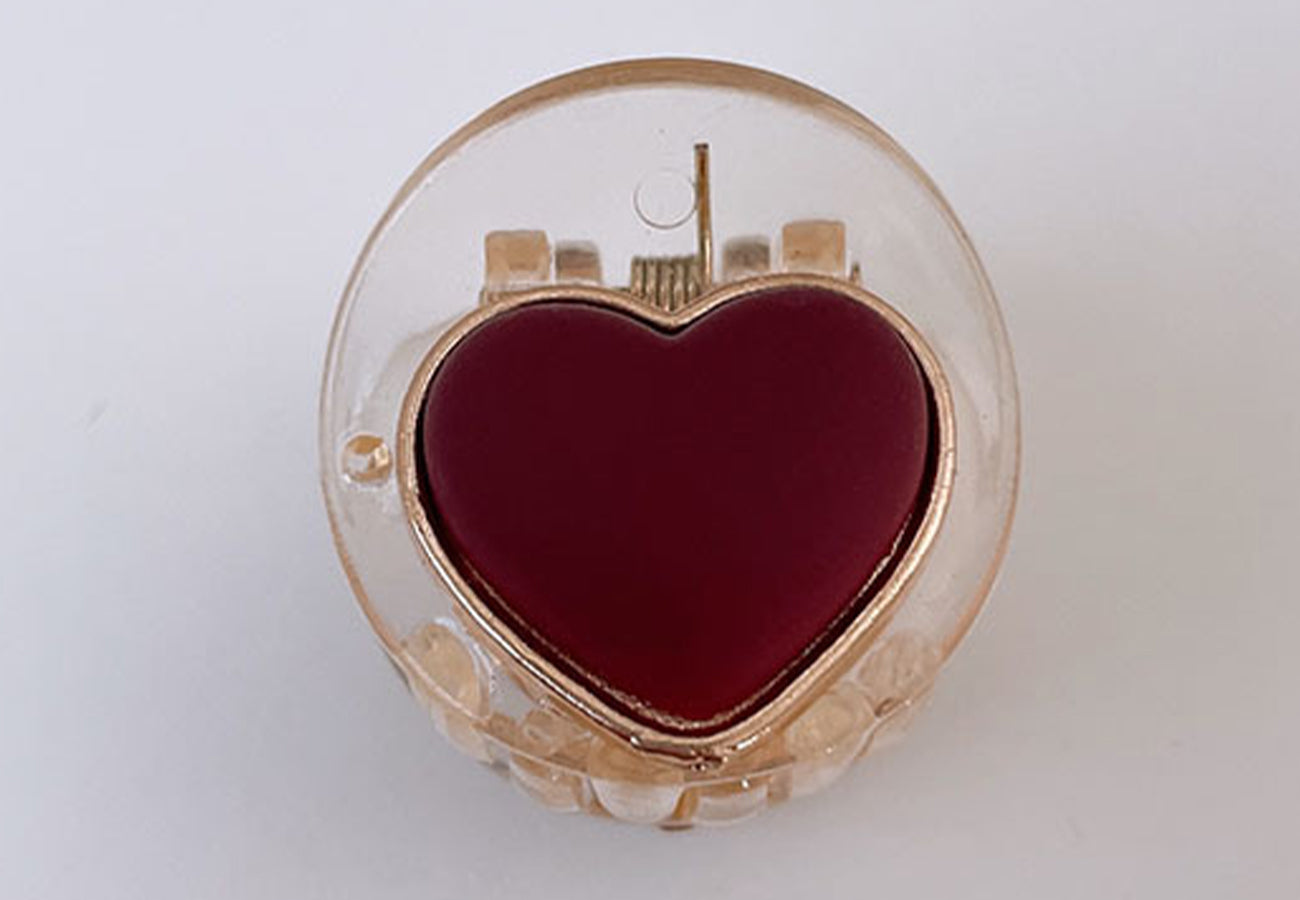 Gold Outline Transparent Hair Clip